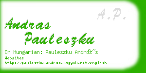 andras pauleszku business card